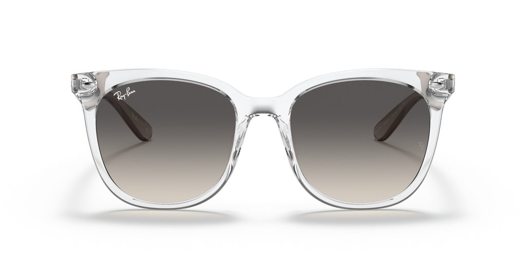 Ray-Ban RB4379D - Transparent / Transparent