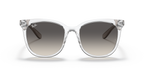 Ray-Ban RB4379D - Transparent / Transparent