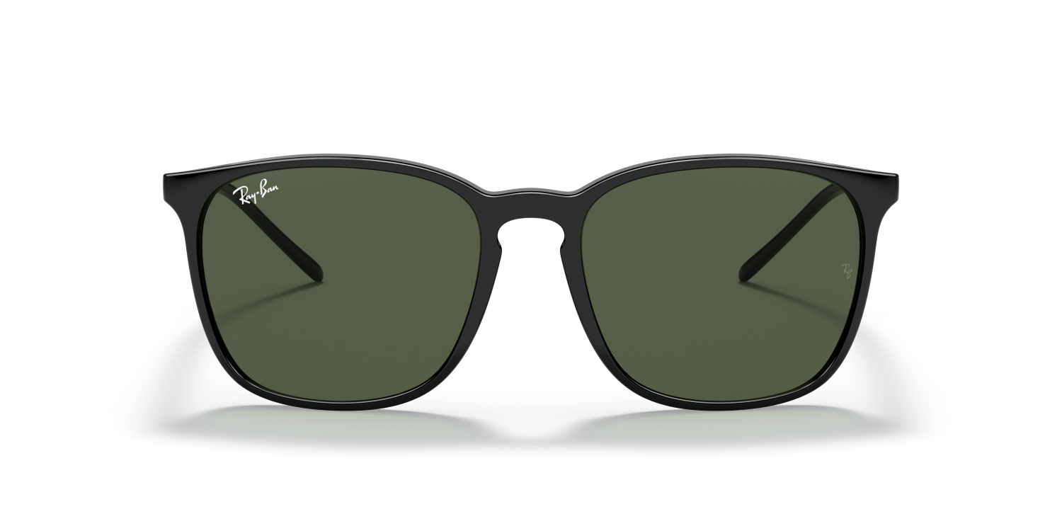 Ray-Ban RB4387 - Black / Black