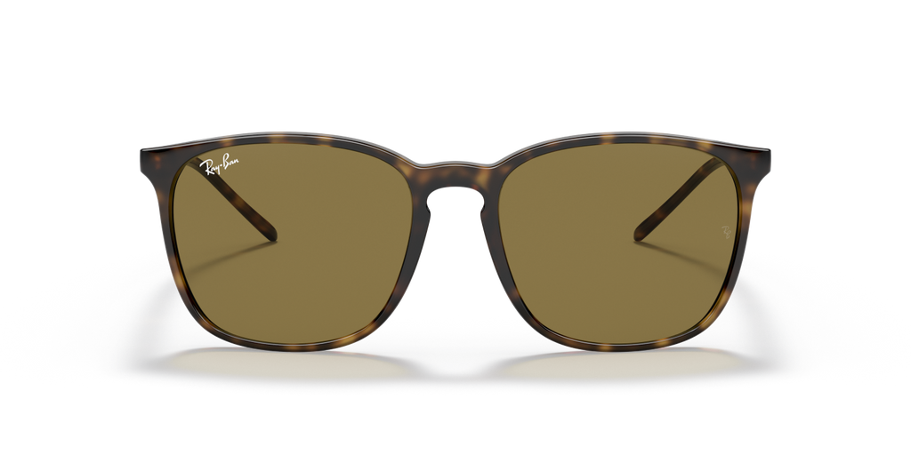 Ray-Ban RB4387 - Light Havana / Tortoise