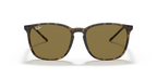 Ray-Ban RB4387 - Light Havana / Tortoise