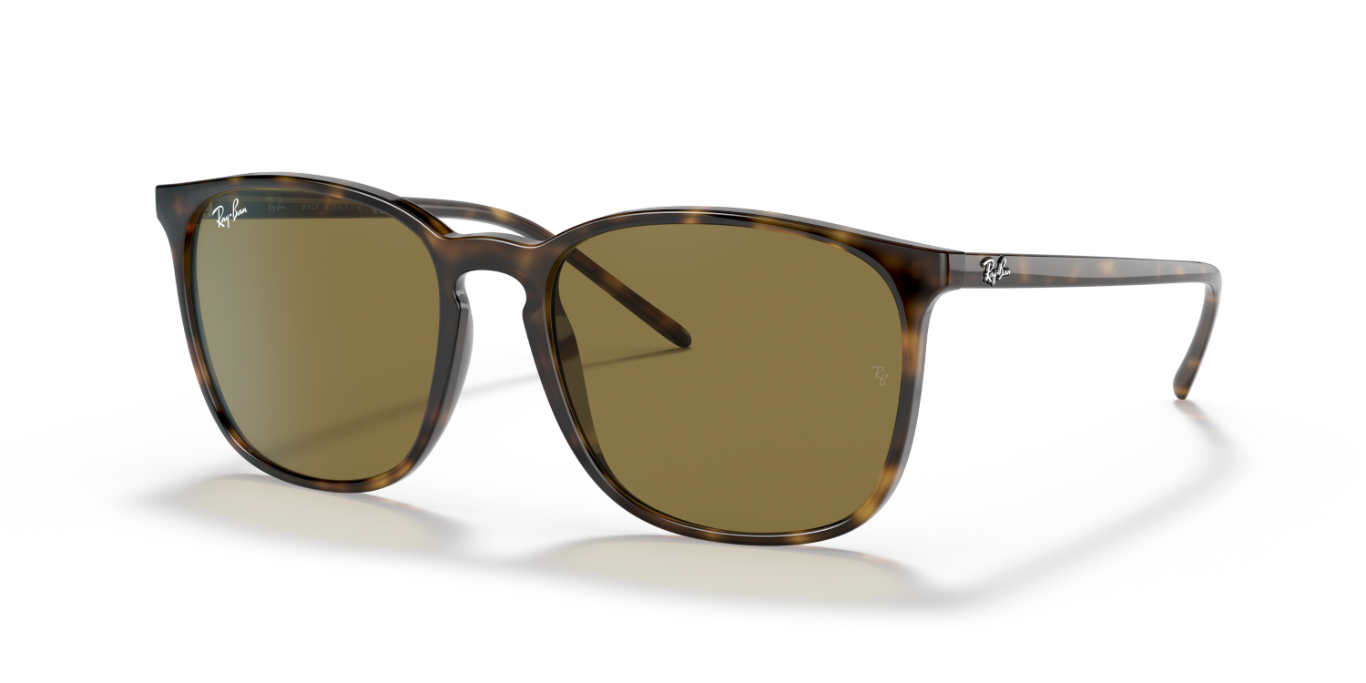 Ray-Ban RB4387 - Light Havana / Tortoise