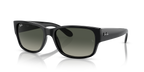 Ray-Ban RB4388 - Black / Black