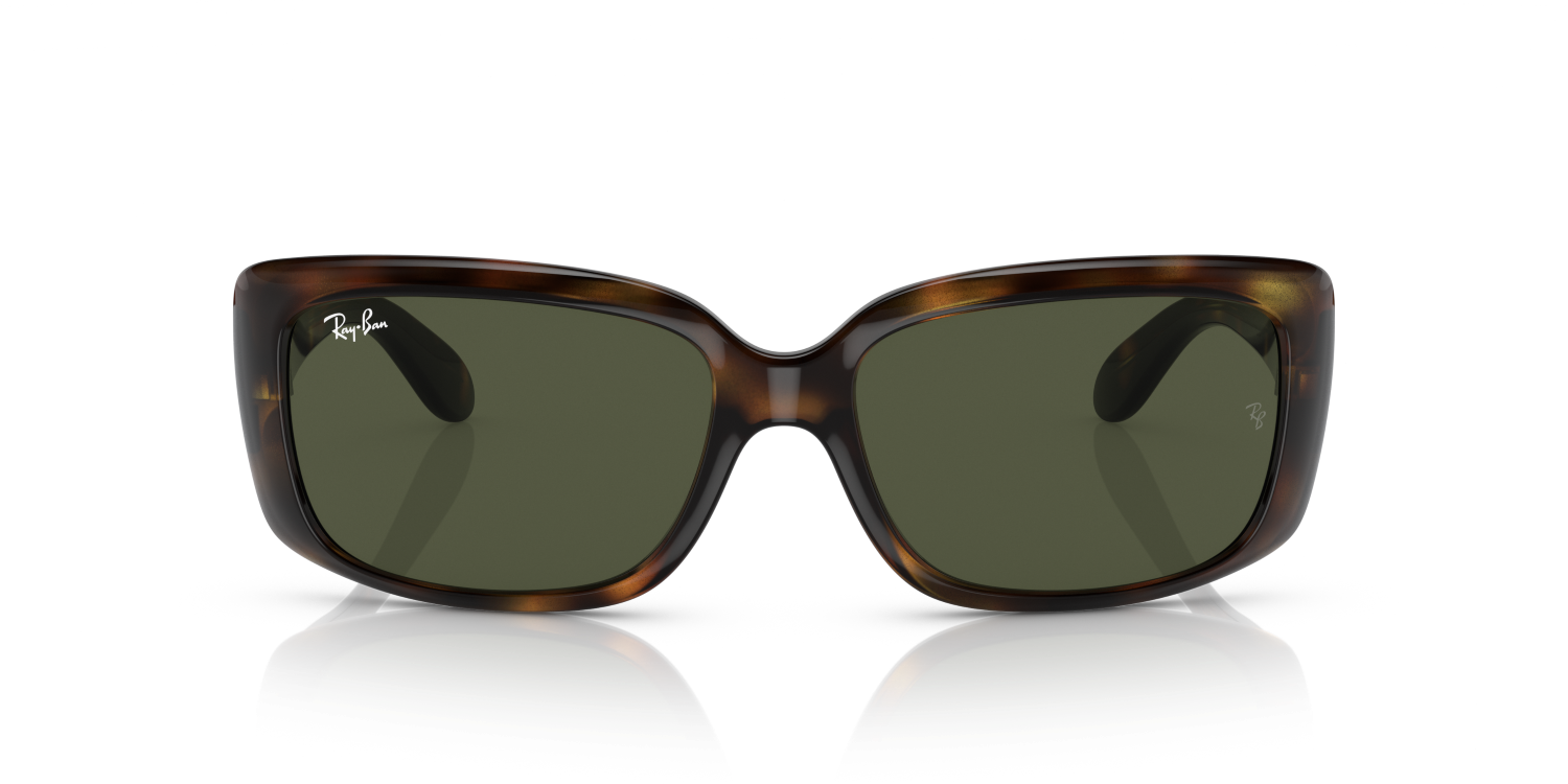 Ray-Ban RB4389 - Havana / Tortoise