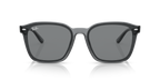 Ray-Ban RB4392D - Transparent Grey / Grey