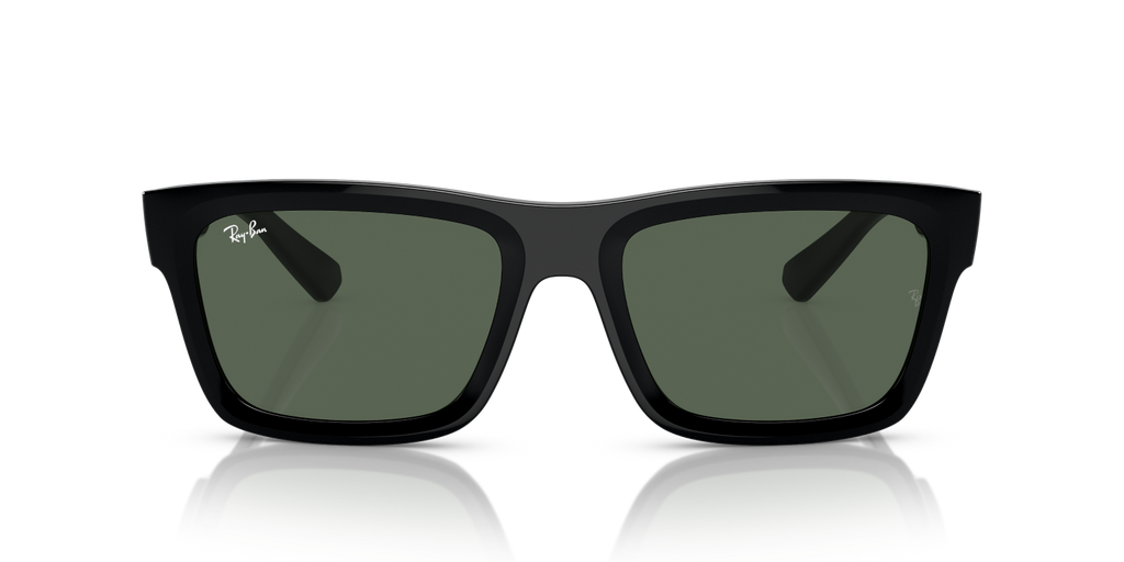 Ray-Ban WARREN RB4396 - Black / Black