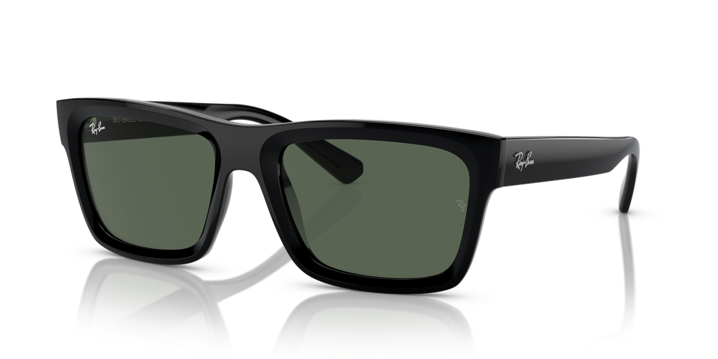 Ray-Ban WARREN RB4396 - Black / Black