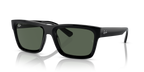 Ray-Ban WARREN RB4396 - Black / Black