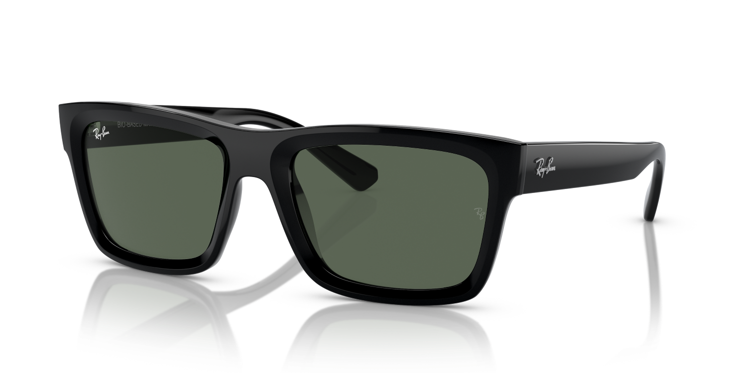 Ray-Ban WARREN RB4396 - Black / Black