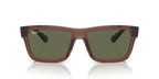 Ray-Ban WARREN RB4396 - Transparent Brown / Brown