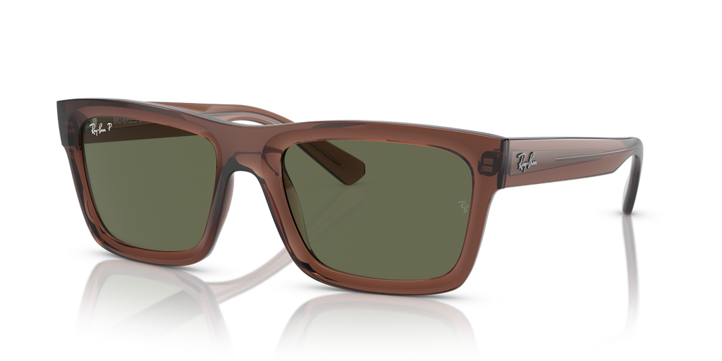 Ray-Ban WARREN RB4396 - Transparent Brown / Brown