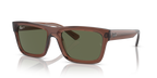 Ray-Ban WARREN RB4396 - Transparent Brown / Brown