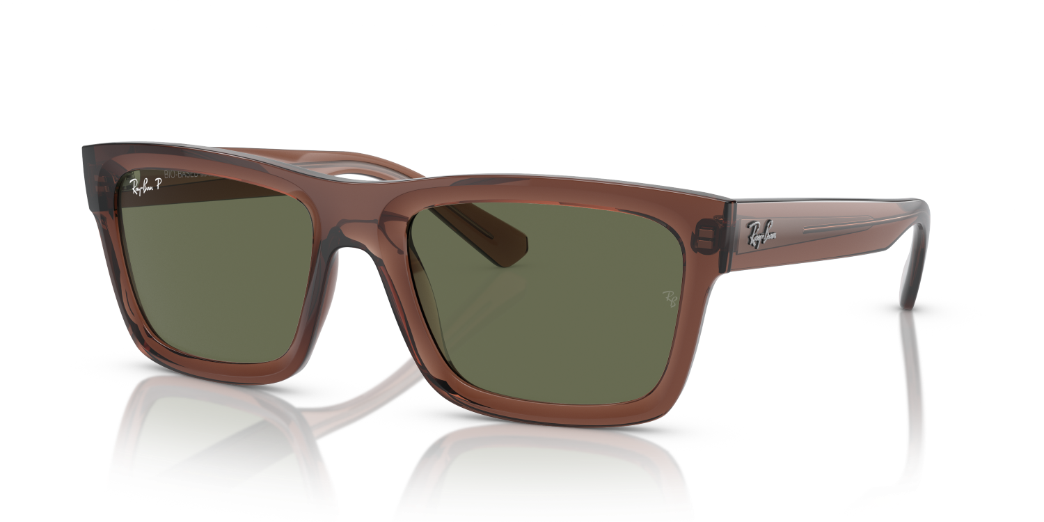 Ray-Ban WARREN RB4396 - Transparent Brown / Brown
