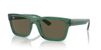 Ray-Ban WARREN RB4396 - Transparent Green / Green