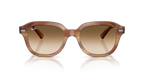 Ray-Ban ERIK RB4398 - Striped Brown / Tortoise