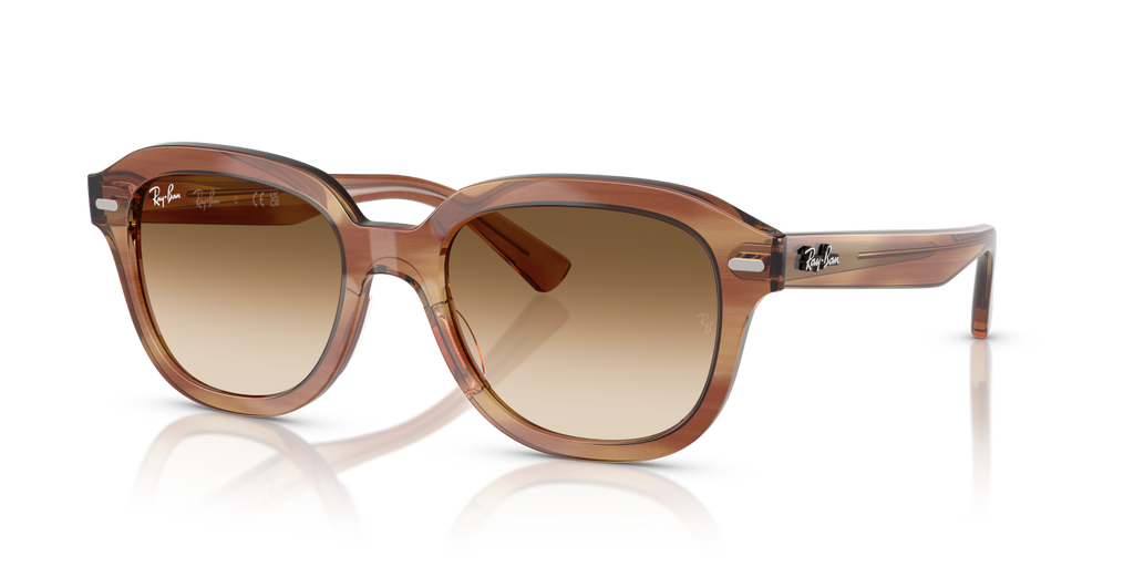 Ray-Ban ERIK RB4398 - Striped Brown / Tortoise