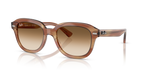 Ray-Ban ERIK RB4398 - Striped Brown / Tortoise