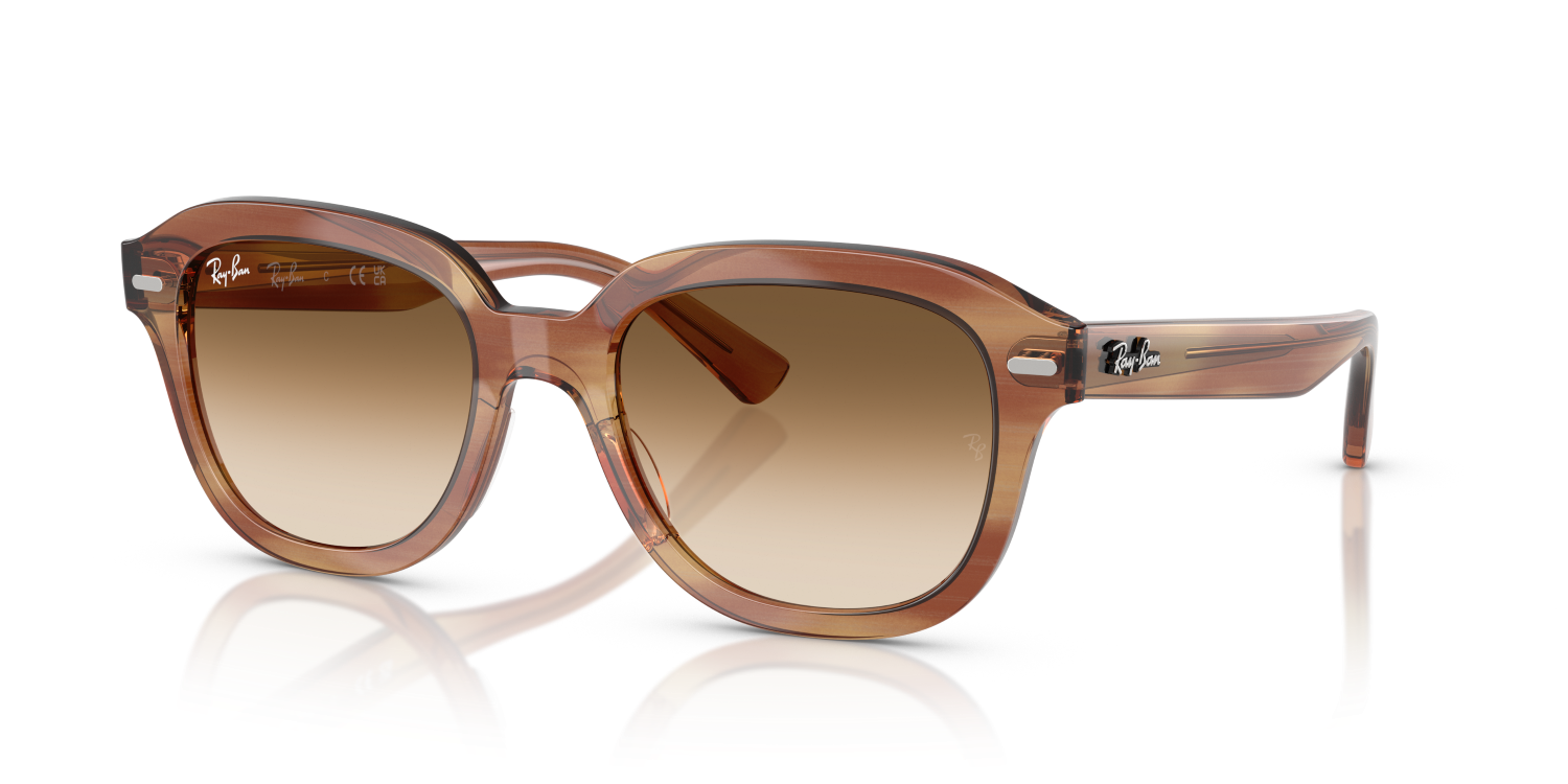Ray-Ban ERIK RB4398 - Striped Brown / Tortoise