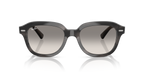 Ray-Ban ERIK RB4398 - Striped Grey / Grey