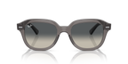Ray-Ban ERIK RB4398 - Opal Dark Grey / Grey