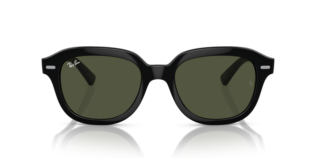 Ray-Ban ERIK RB4398 - Black / Black