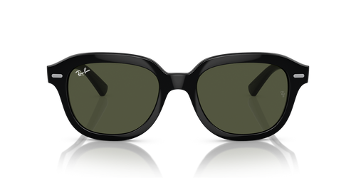 Ray-Ban ERIK RB4398 - Black / Black