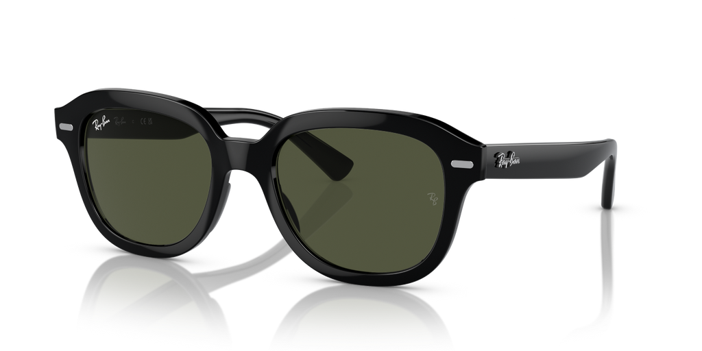 Ray-Ban ERIK RB4398 - Black / Black