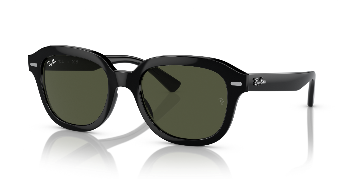 Ray-Ban ERIK RB4398 - Black / Black