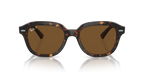 Ray-Ban ERIK RB4398 - Havana / Tortoise
