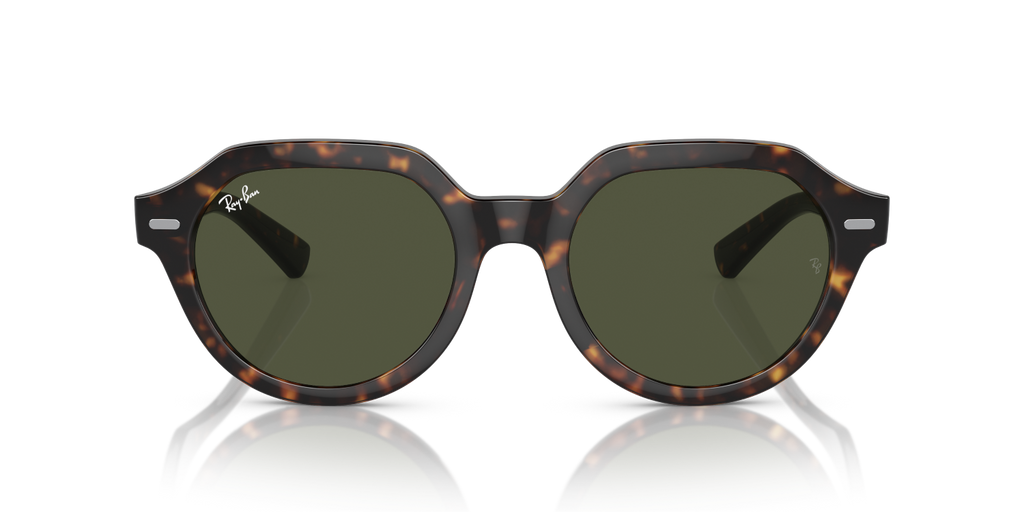 Ray-Ban GINA RB4399 - Havana / Tortoise