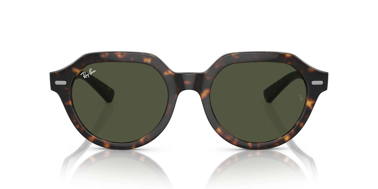 Ray-Ban GINA RB4399 - Havana / Tortoise