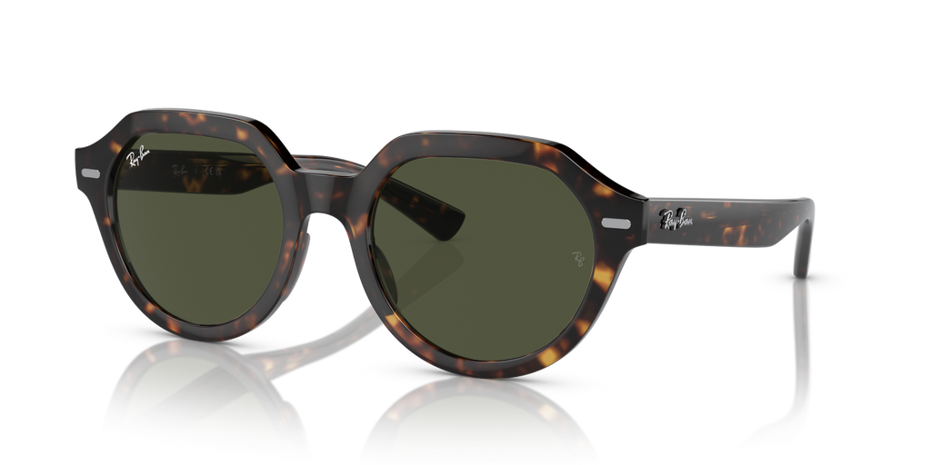 Ray-Ban GINA RB4399 - Havana / Tortoise