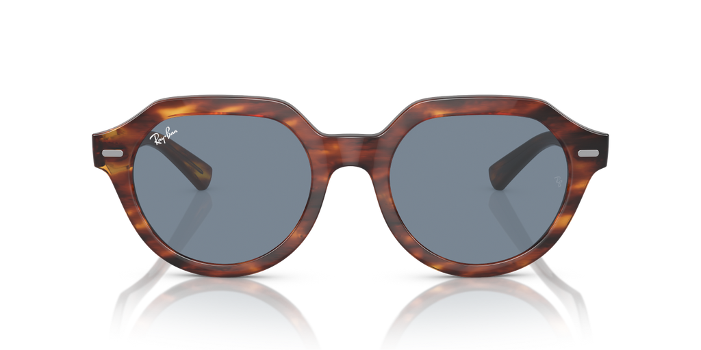Ray-Ban GINA RB4399 - Striped Havana / Brown