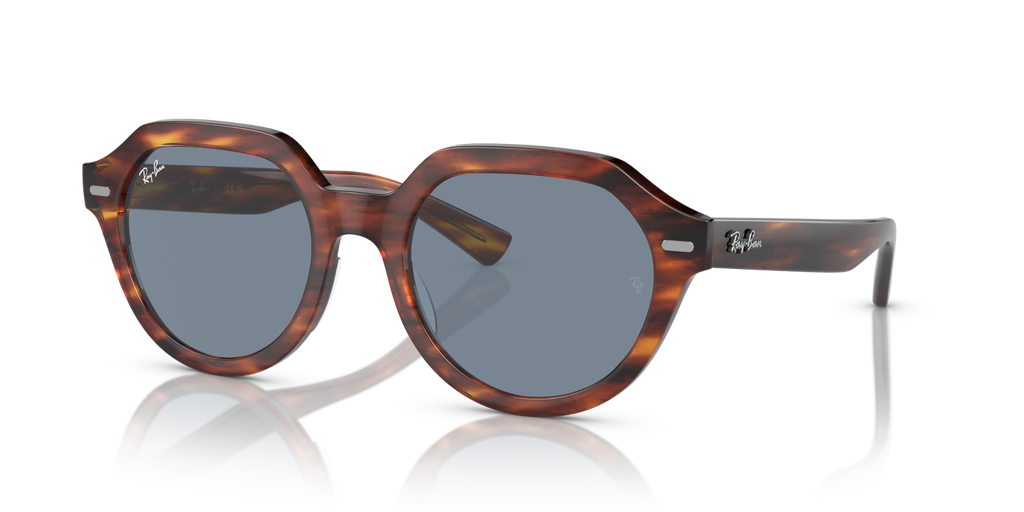 Ray-Ban GINA RB4399 - Striped Havana / Brown