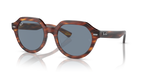 Ray-Ban GINA RB4399 - Striped Havana / Brown