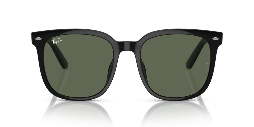 Ray-Ban RB4401D - Black / Black