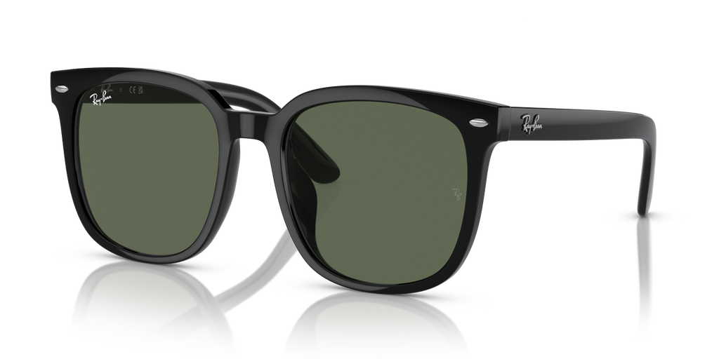 Ray-Ban RB4401D - Black / Black