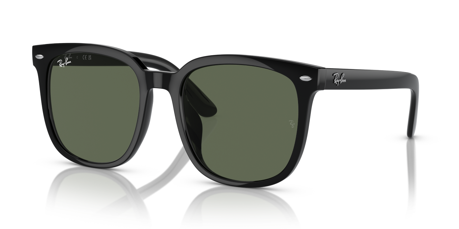 Ray-Ban RB4401D - Black / Black