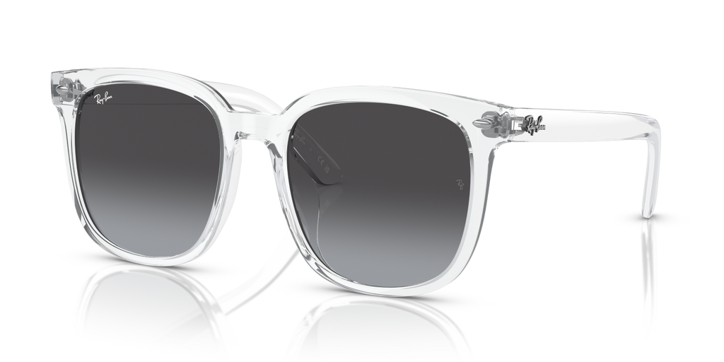 Ray-Ban RB4401D - Transparent / Transparent