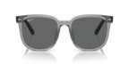 Ray-Ban RB4401D - Transparent Grey / Grey