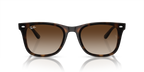 Ray-Ban RB4420 - Havana / Tortoise
