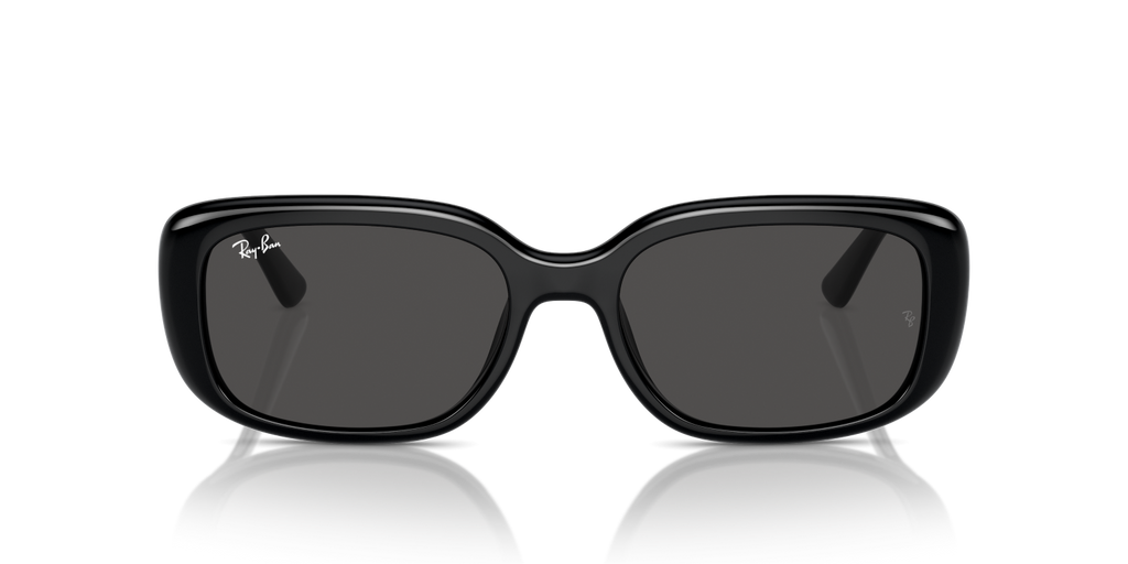 Ray-Ban RB4421D - Black / Black