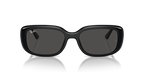 Ray-Ban RB4421D - Black / Black