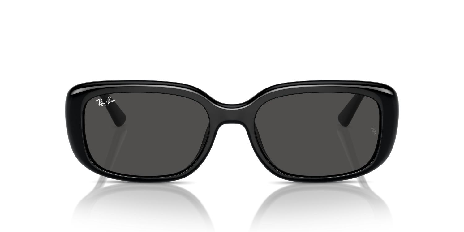 Ray-Ban RB4421D - Black / Black