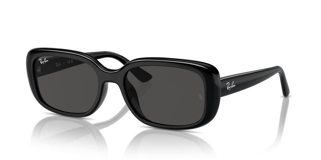 Ray-Ban RB4421D - Black / Black