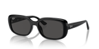 Ray-Ban RB4421D - Black / Black