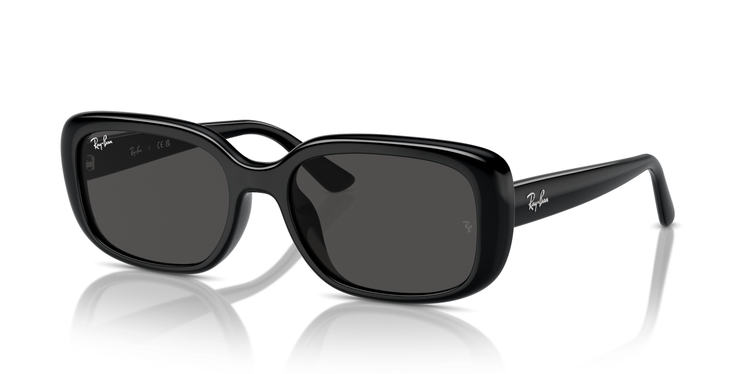 Ray-Ban RB4421D - Black / Black