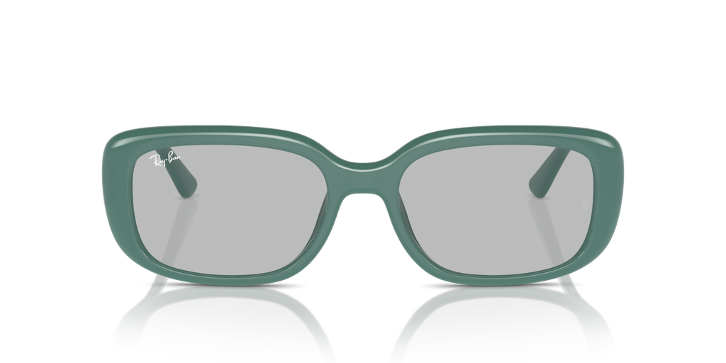 Ray-Ban RB4421D - Algae Green / Green