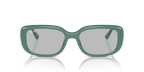 Ray-Ban RB4421D - Algae Green / Green