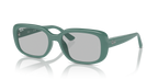Ray-Ban RB4421D - Algae Green / Green